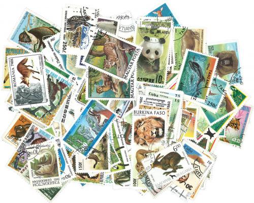 Zostava Divoká zvíøata - 250 rùzných razítkovaných známek