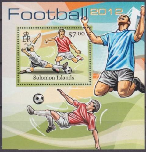 Poštová známka Šalamúnove ostrovy 2013 Futbal Mi# 1668 Block
