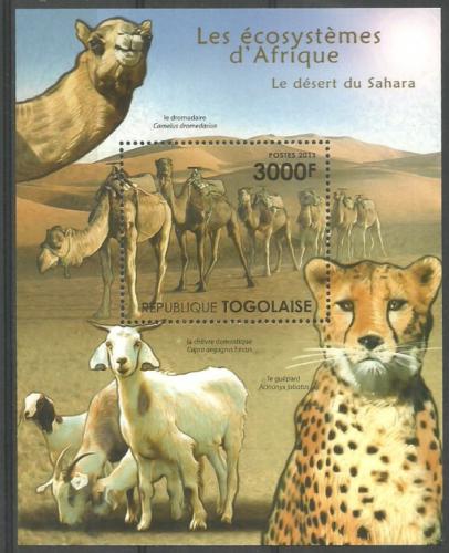 Poštová známka Togo 2011 Fauna Sahary Mi# Block 636 Kat 12€