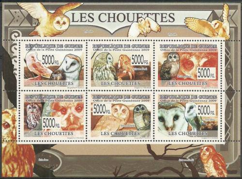 Poštové známky Guinea 2009 Sovy Mi# 6424-29 Kat 12€