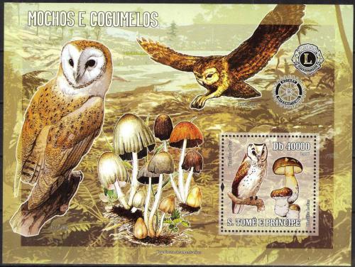 Poštová známka Svätý Tomáš 2006 Sovy Mi# Block 544 Kat 12€