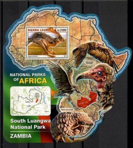 Poštová známka Sierra Leone 2016 NP South Luangwa, Zambia Mi# Block 984 Kat 11€