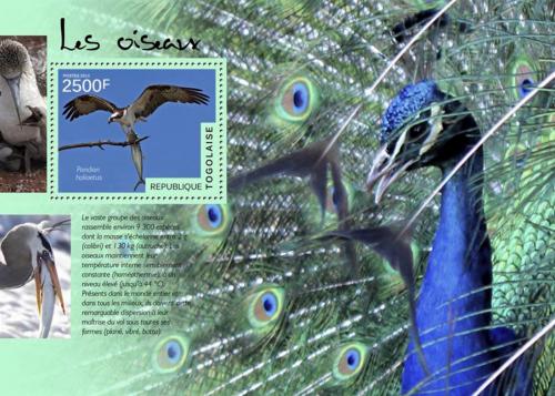 Poštová známka Togo 2014 Vtáci Mi# Block 1045 Kat 10€