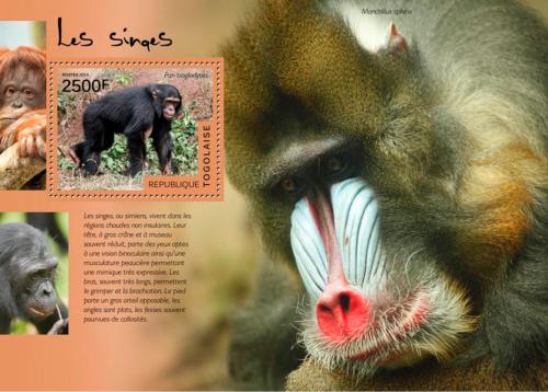 Poštová známka Togo 2014 Opice Mi# Block 1054 Kat 10€