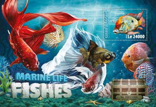 Poštová známka Sierra Leone 2016 Akvarijní ryby Mi# Block 935 Kat 11€
