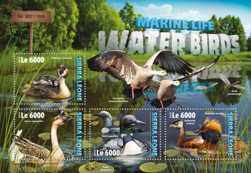 Poštové známky Sierra Leone 2016 Vodní ptáci Mi# 7058-61 Kat 11€
