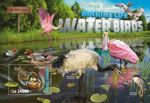 Poštová známka Sierra Leone 2016 Vodní ptáci Mi# Block 944 Kat 11€