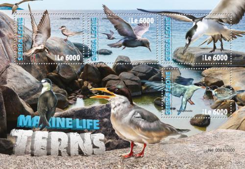 Poštové známky Sierra Leone 2016 Racci Mi# 7073-76 Kat 11€