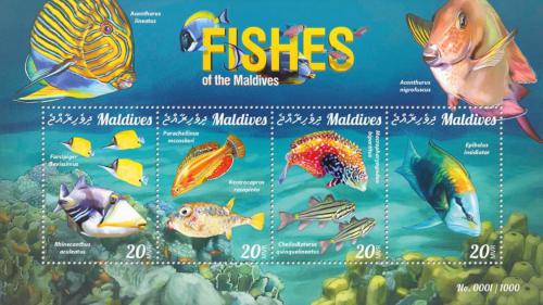 Poštové známky Maldivy 2015 Ryby Mi# 6060-63 Kat 10€