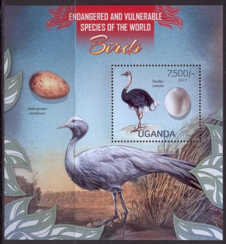 Poštová známka Uganda 2013 Vtáci Mi# Block 415 Kat 9€