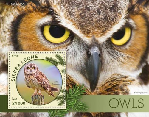 Poštová známka Sierra Leone 2016 Sovy Mi# Block 903 Kat 11€