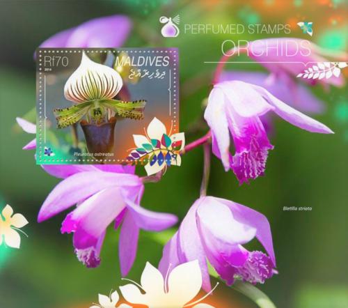 Poštová známka Maldivy 2014 Orchideje Mi# Block 743 Kat 9€