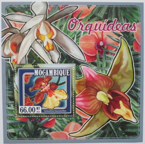 Poštová známka Mozambik 2015 Orchideje Mi# 7692 Block