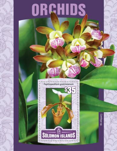 Poštová známka Šalamúnove ostrovy 2016 Orchideje Mi# Block 484 Kat 11€
