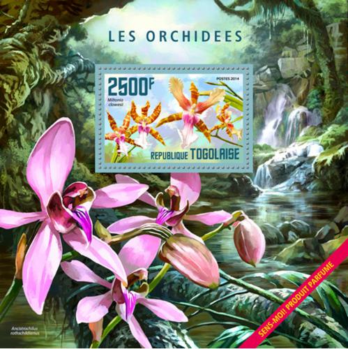 Poštová známka Togo 2014 Orchideje Mi# Block 1019 Kat 10€