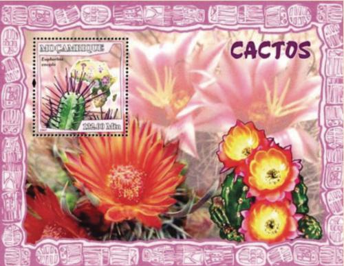 Poštová známka Mozambik 2007 Kaktusy Mi# Block 210 Kat 10€