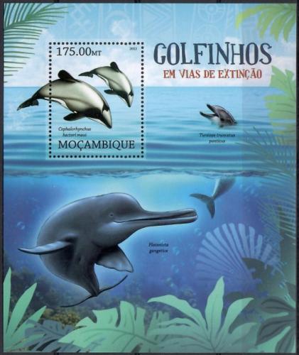 Poštová známka Mozambik 2012 Delfíny na cestì k vyhynutí Mi# Block 638 Kat 10€