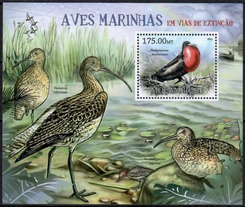 Poštová známka Mozambik 2012 Moøští ptáci na cestì k vyhynutí Mi# Block 631 10€
