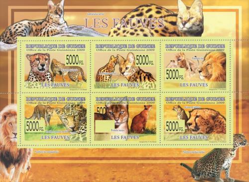 Poštové známky Guinea 2009 Maèkovité šelmy Mi# 6457-62 Kat 12€