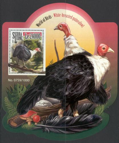 Poštová známka Sierra Leone 2015 Perlièka èervenohlavá Mi# Block 841 Kat 11€