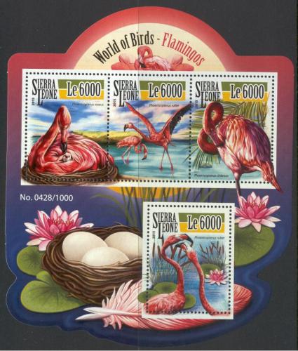 Poštové známky Sierra Leone 2015 Plameòáci Mi# 6552-55 Kat 11€