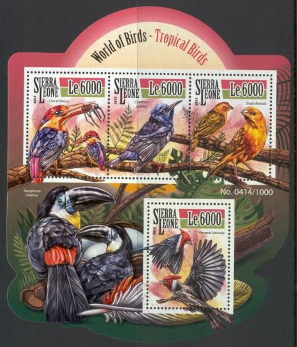 Poštové známky Sierra Leone 2015 Tropiètí ptáci Mi# 6568-71 Kat 11€