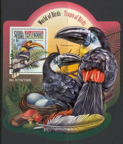 Poštová známka Sierra Leone 2015 Tropiètí ptáci Mi# Block 849 Kat 11€