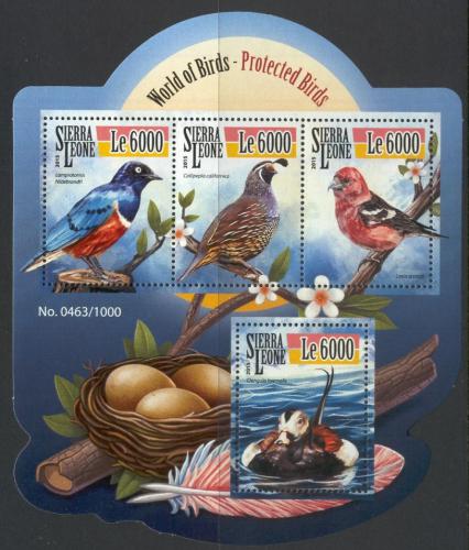 Poštové známky Sierra Leone 2015 Chránìní ptáci Mi# 6572-75 Kat 11€