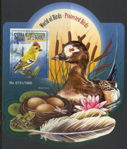 Poštová známka Sierra Leone 2015 Chránìní ptáci Mi# Block 850 Kat 11€