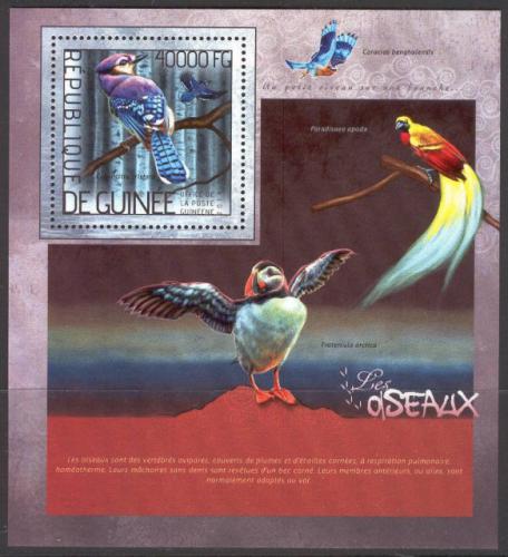 Poštová známka Guinea 2014 Vtáci Mi# Block 2361 Kat 16€