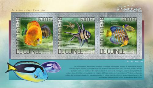 Poštové známky Guinea 2014 Ryby Mi# 10323-25 Kat 18€