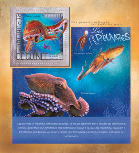 Poštová známka Guinea 2014 Chobotnice Mi# Block 2355 Kat 16€