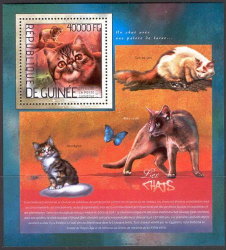 Poštová známka Guinea 2014 Maèky Mi# Block 2376 Kat 16€