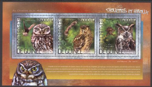 Poštové známky Guinea 2014 Sovy Mi# 10351-53 Kat 18€