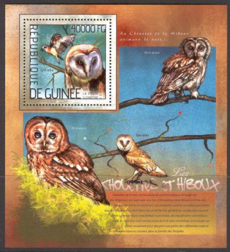 Poštová známka Guinea 2014 Sovy Mi# Block 2363 Kat 16€