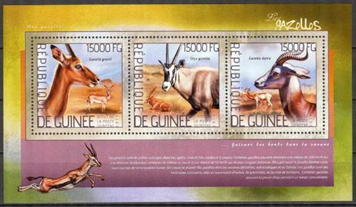 Poštové známky Guinea 2014 Gazely Mi# 10359-61 Kat 18€
