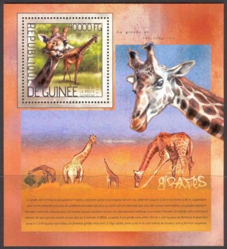 Poštová známka Guinea 2014 Žirafy Mi# Block 2367 Kat 16€