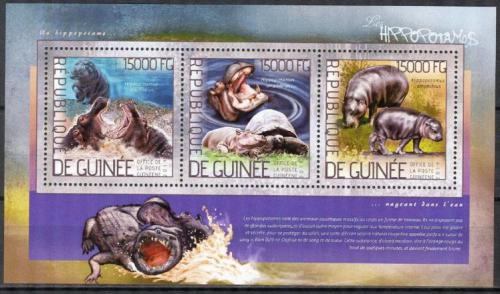 Poštové známky Guinea 2014 Hrochy Mi# 10379-81 Kat 18€