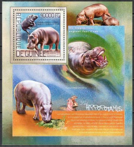Poštová známka Guinea 2014 Hrochy Mi# Block 2370 Kat 16€