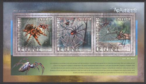 Poštová známka Guinea 2014 Pavúky Mi# Block 2354 Kat 16€