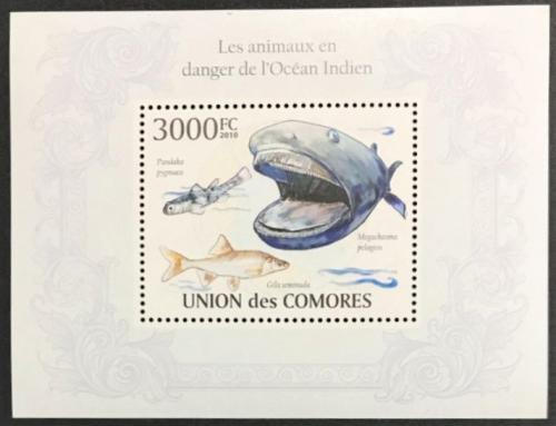 Poštová známka Komory 2009 Ryby Indického oceánu Mi# Block 579 Kat 15€
