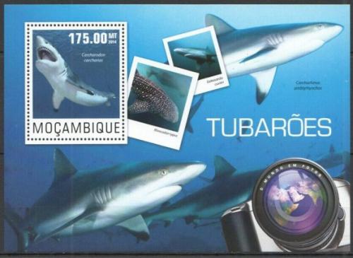 Poštová známka Mozambik 2014 Žraloky Mi# Block 954 Kat 10€