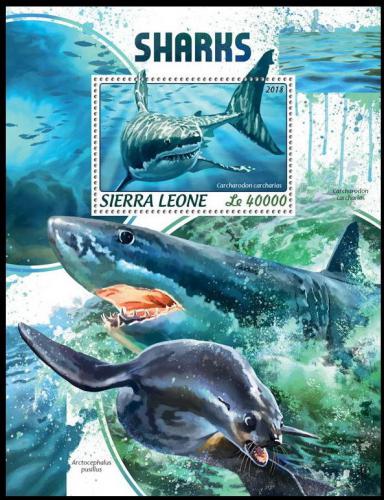 Poštová známka Sierra Leone 2018 Žraloky Mi# Mi# Block 1456 Kat 11€