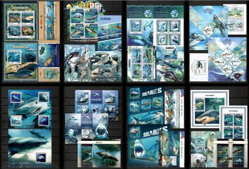 Luxusná zostava Žraloky, velké ryby - 53 S/S - Kat 645€ - Poštovné zadarmo !!!