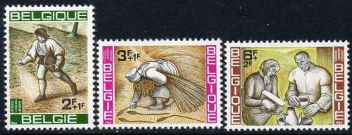 Poštové známky Belgicko 1963 Boj proti hladu Mi# 1303-05