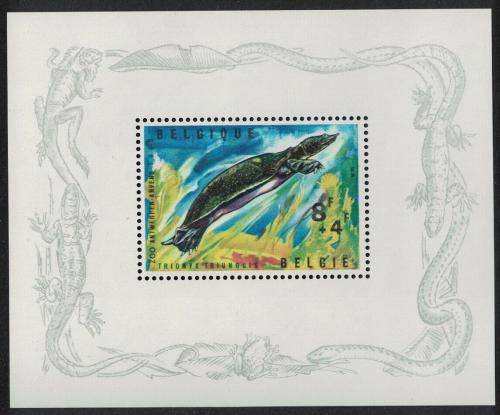 Poštová známka Belgicko 1965 Kožnatka africká Mi# Block 33