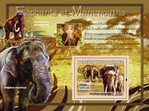 Poštová známka Guinea 2007 Slony a mamuti Mi# Block 1206