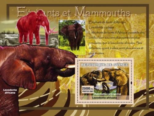 Poštová známka Guinea 2007 Slony a mamuti Mi# Block 1207
