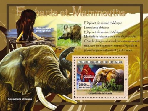 Poštová známka Guinea 2007 Slony a mamuti Mi# Block 1208