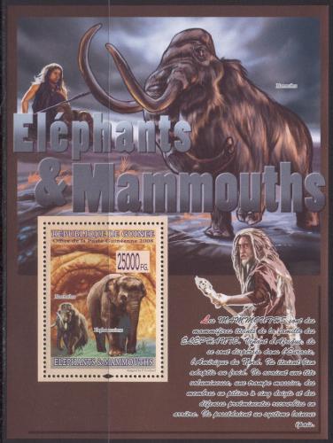 Poštová známka Guinea 2008 Slony a mamuti Mi# Block 1517 Kat 10€